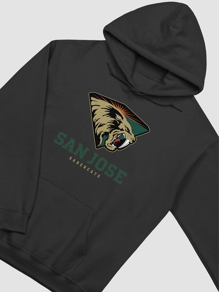 San Jose SaberCats Classic Hoodie by Gildan product image (11)