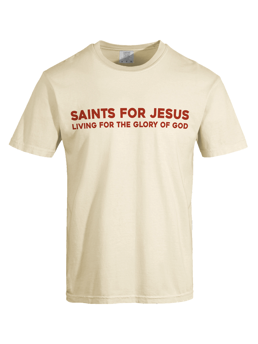 The Gospel T-Shirt product image (3)