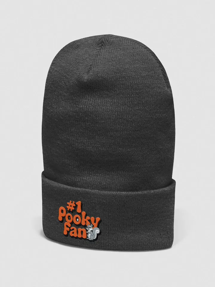 Pooky's #Fan 70s vibe supersoft beanie product image (2)