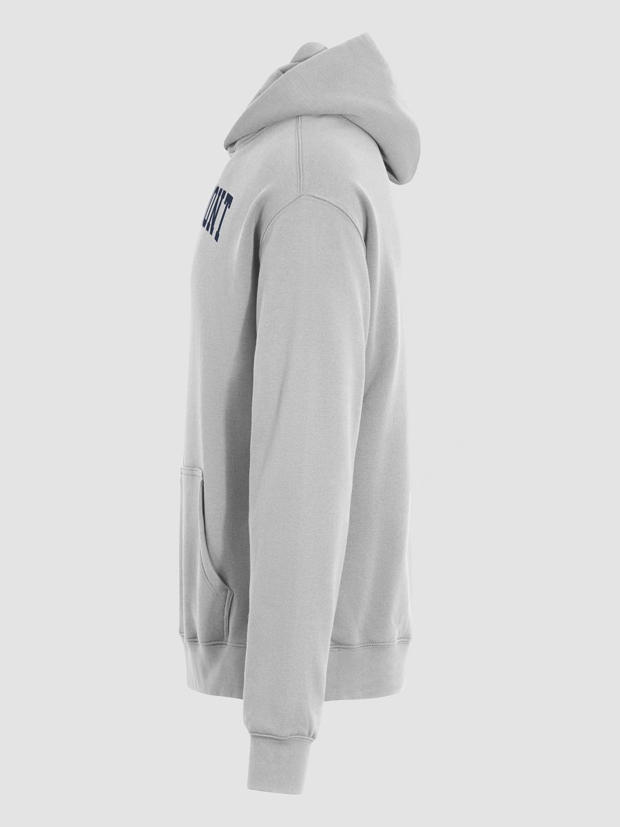 Vermont Vintage Varsity Unisex Premium Oversized Hoodie product image (31)