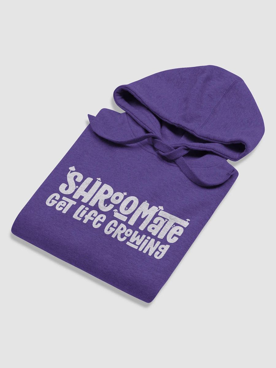 Classic Brand Hoodie product image (4)