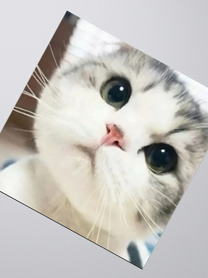 Kiss Cut Stickers: Meme Cats product image (2)