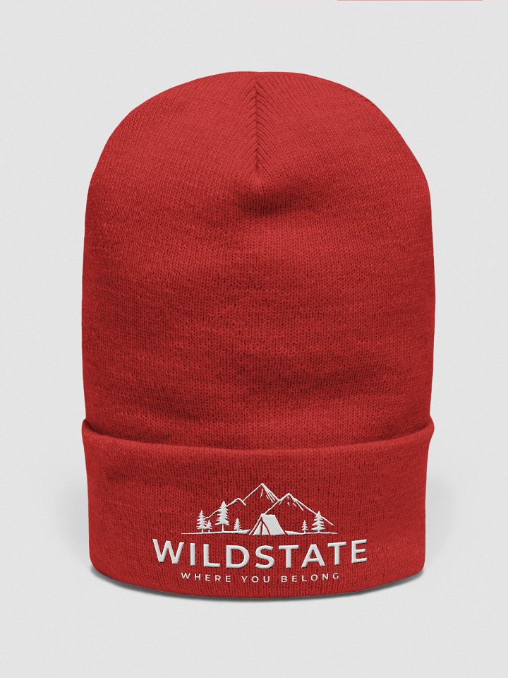 Cuffed Beanie - Wildstate product image (37)