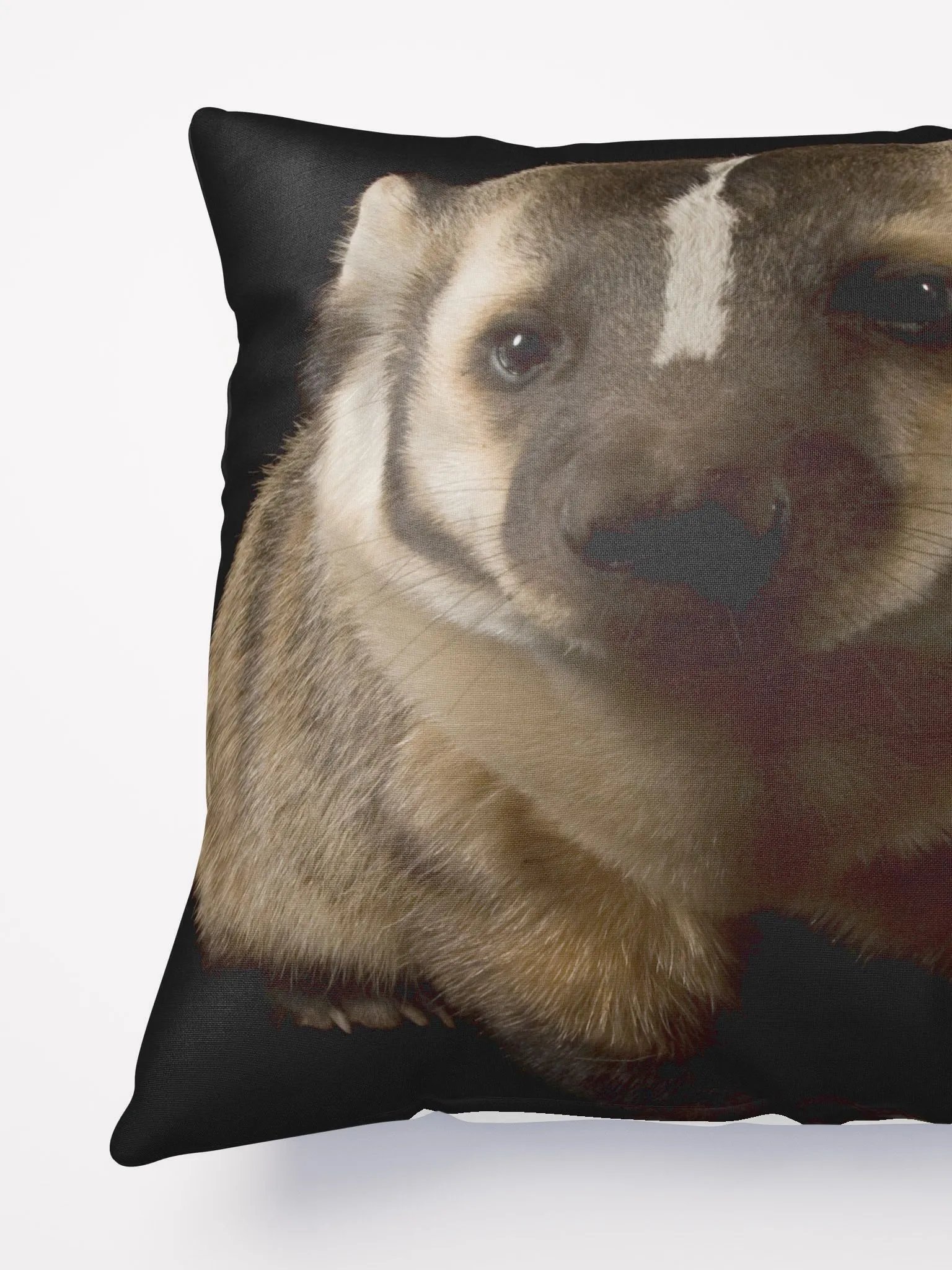 cuddle with a real badger product image (6)