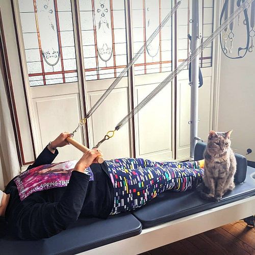 #rg @petlates
 #pilates