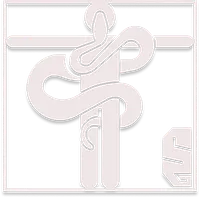 𓆙