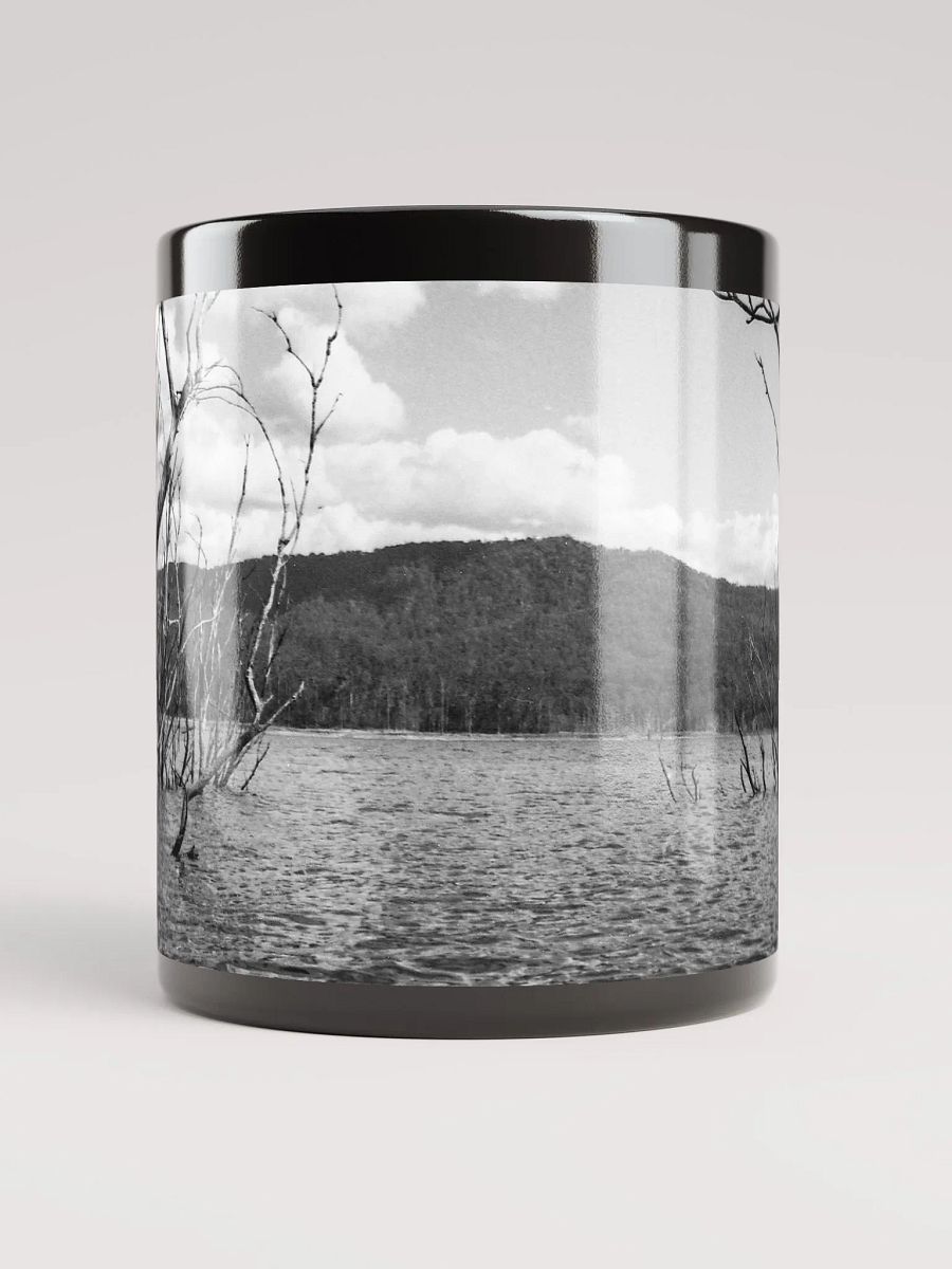 Advancetown Lake product image (5)
