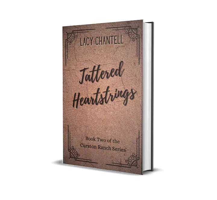 Imperfect Tattered Heartstrings Hardbacks product image (1)