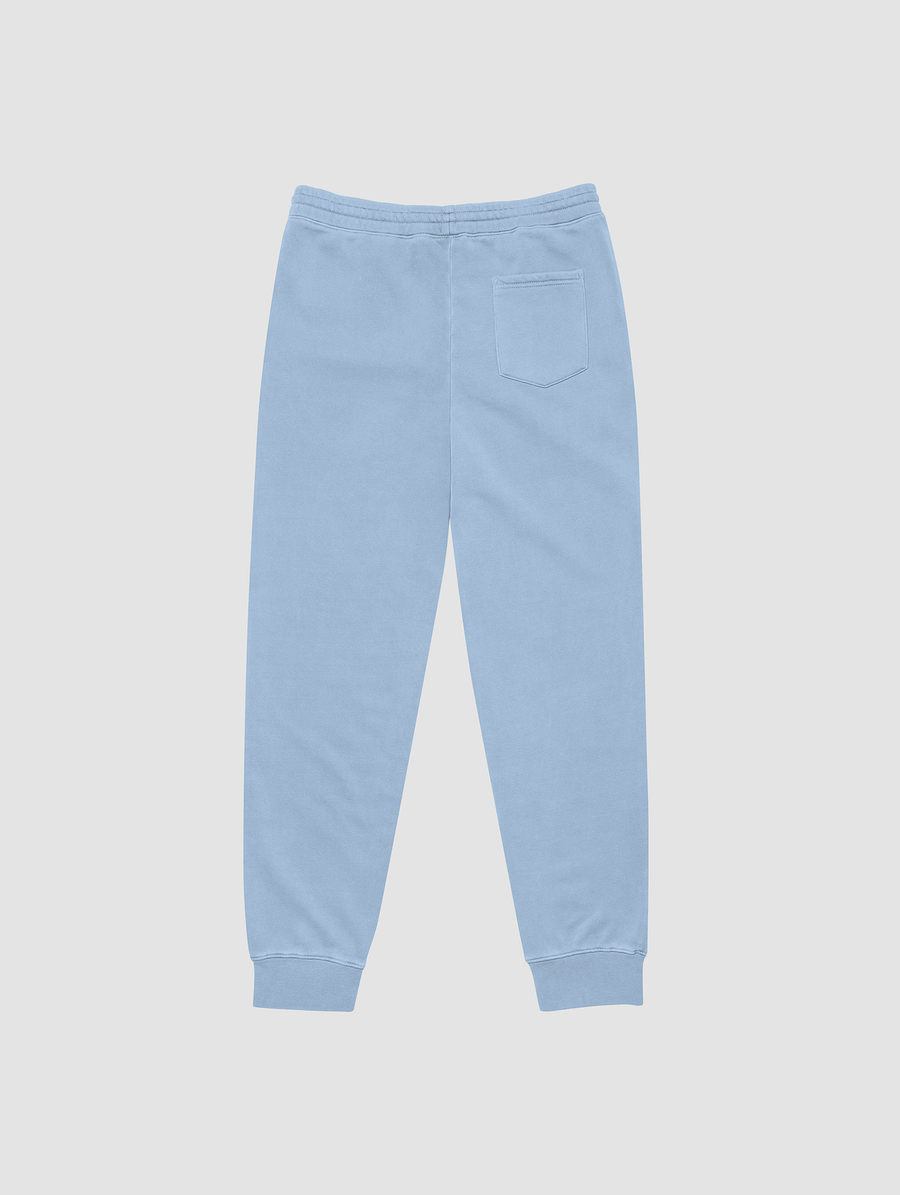 History Buffs Blue Track Pants product image (2)