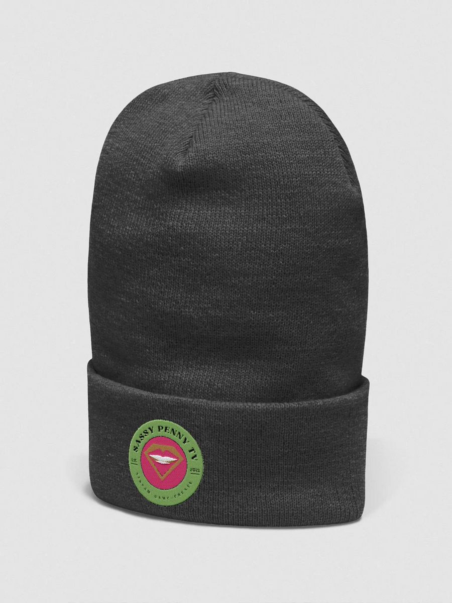 SPTV Logo Cuffed Beanie product image (2)