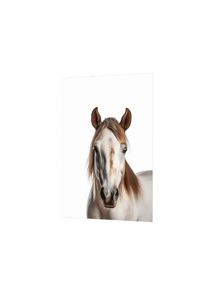 Farm Animal Spotted Horse Decor Print product image (14)