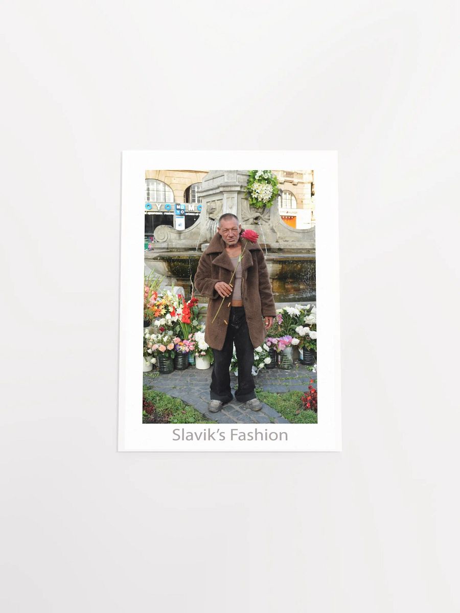 Poster Slavik’s Fashion #3 product image (22)