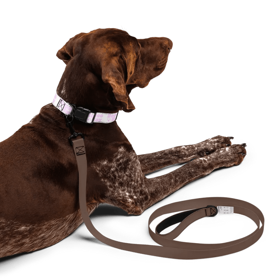 RoccoRox Dog Collar Size Large product image (10)