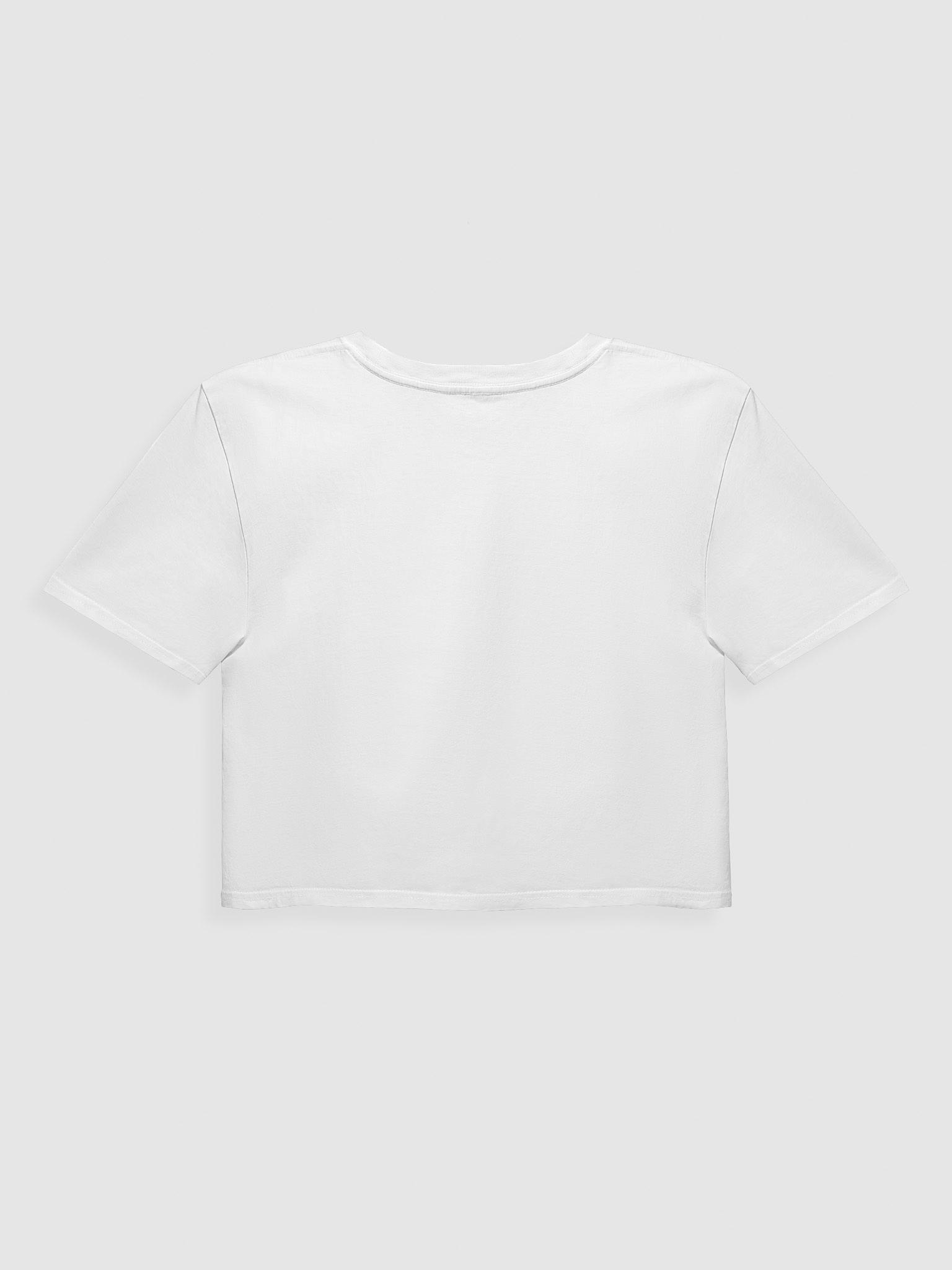 Stars, Stripes & Equal Rights Cropped Tee product image (2)