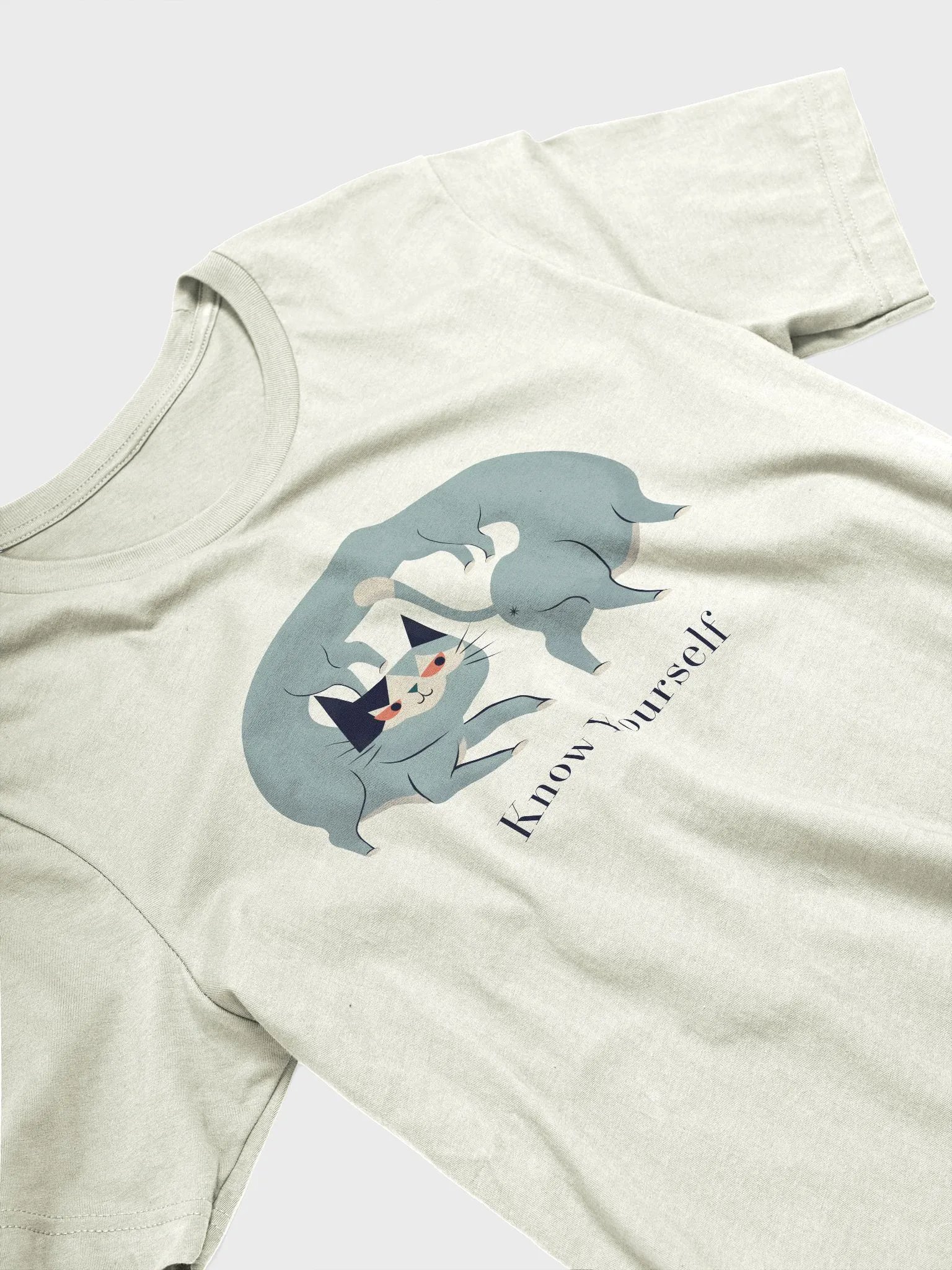 Know Yourself Lightweight Unisex T-Shirt product image (3)