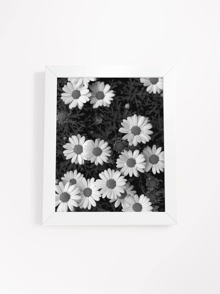 Daisy Flowers - Framed High-Quality Matte Poster product image (1)