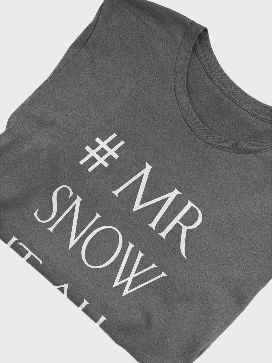 Mr Snow It All - Unisex T-shirt Bella Canvas 3001 product image (23)