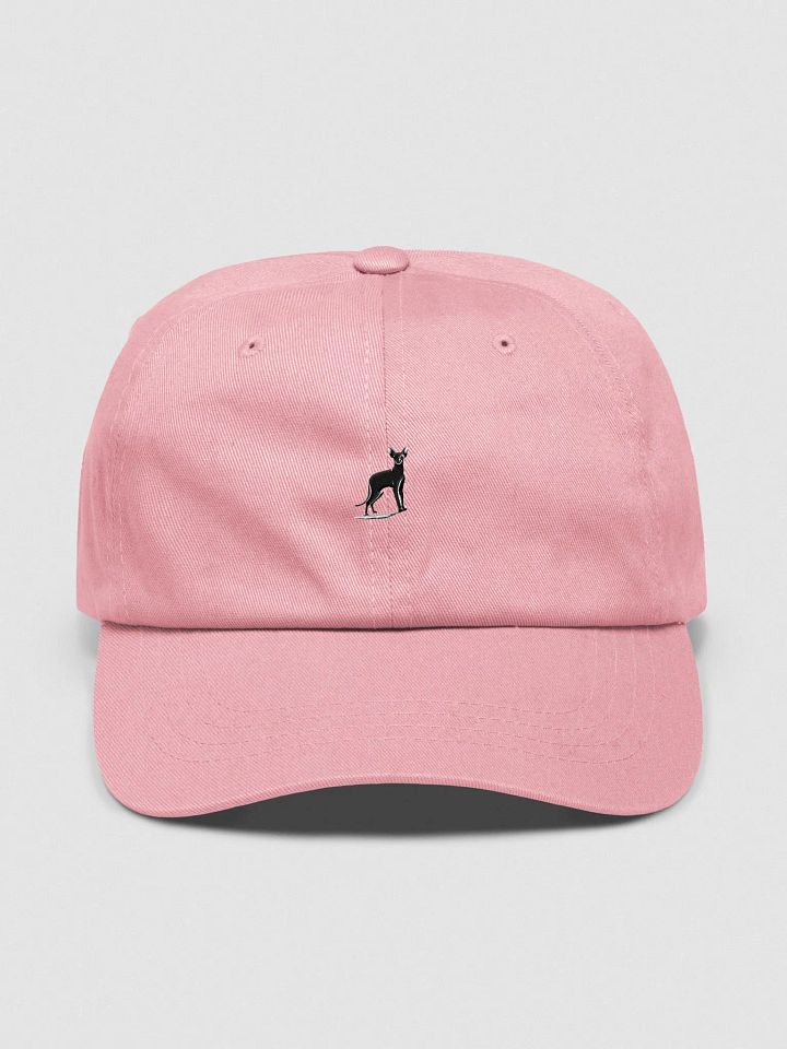 Yupoong Classic Dad Hat: Abyssinian product image (49)