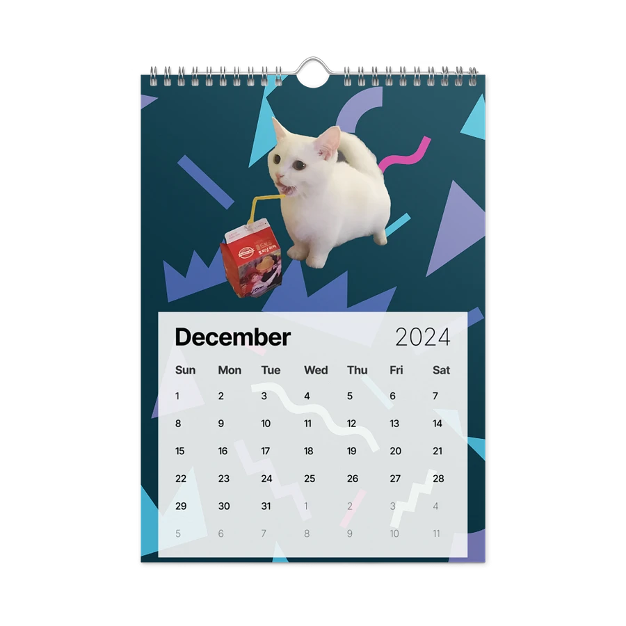 Wall Calendar (2024): Meme Cats product image (6)