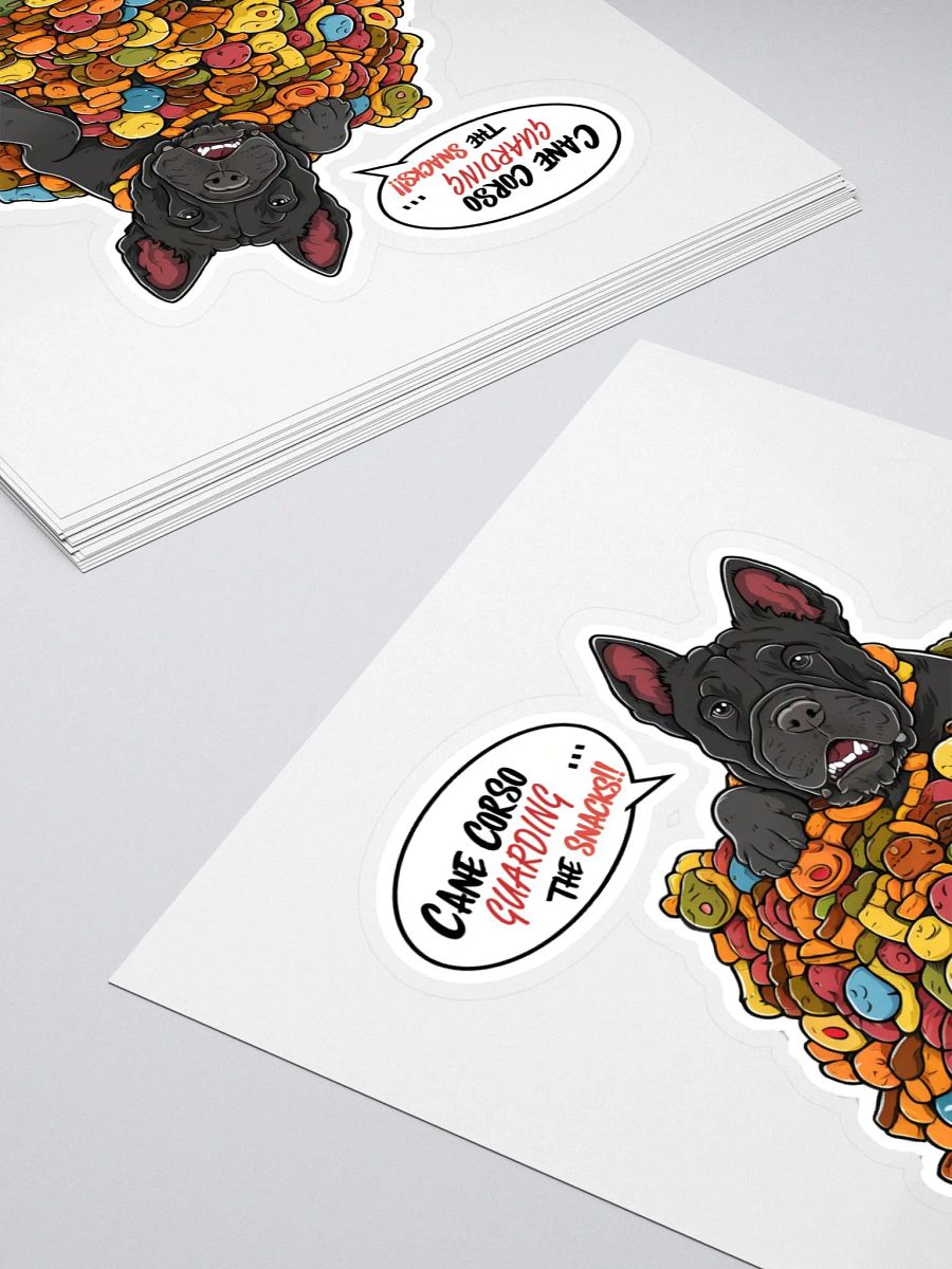 Cane Corso 
