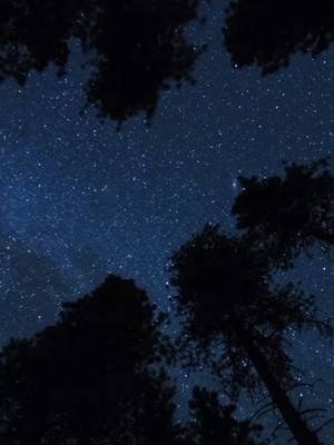 The rest of the Night, what you do to me #romance #sweet #booktok 