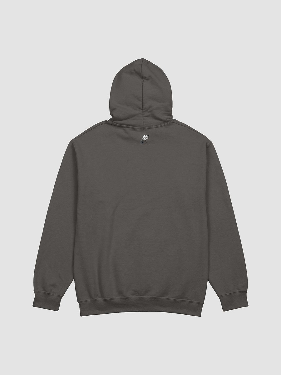 Do Not Disturb: Introvert in Recovery Hoodie product image (10)