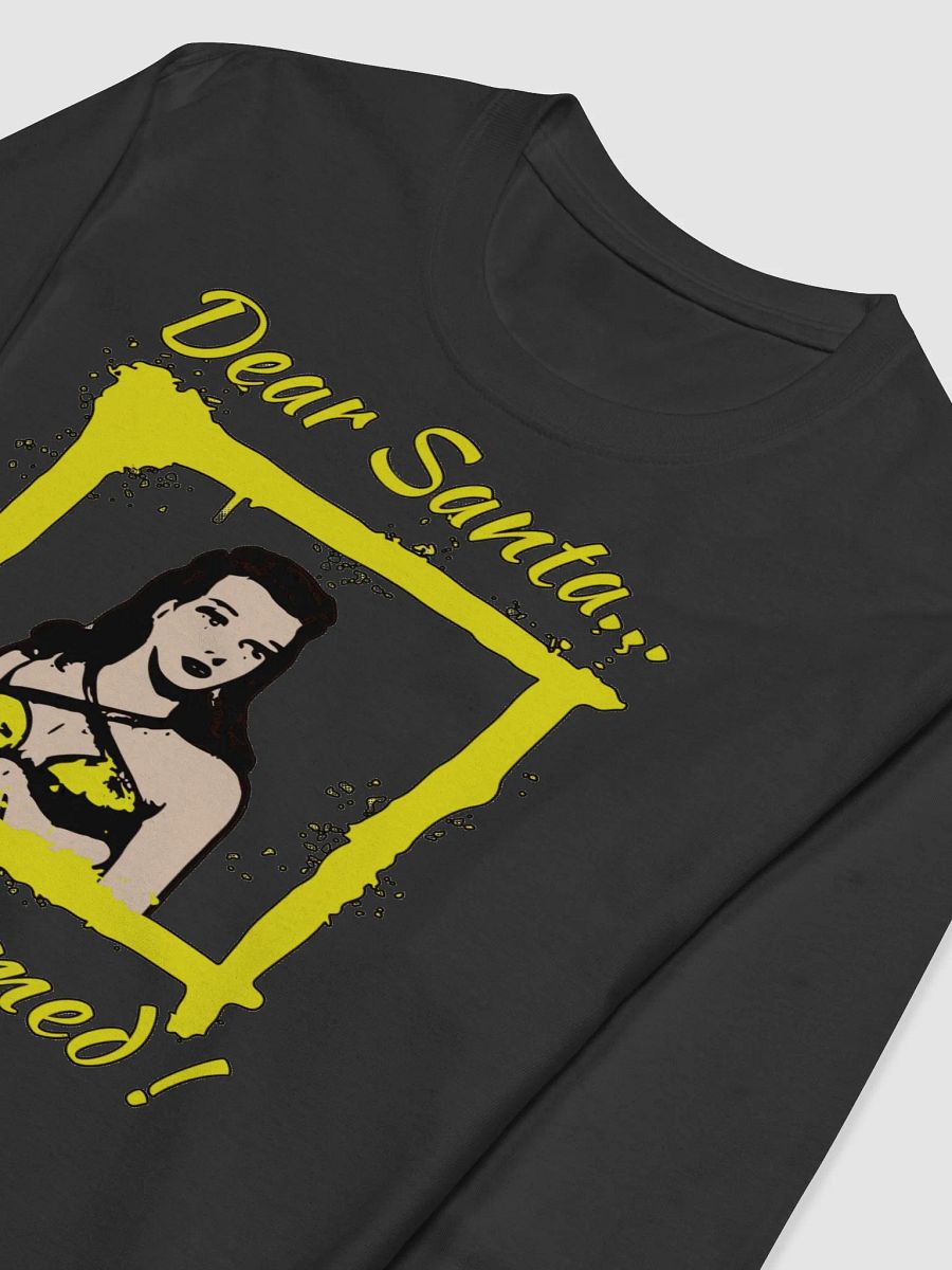 DEAR SANTA, I WAS FRAMED! product image (5)