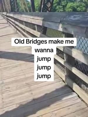 Juat walking over old falling apart wooden bridges resisting the urge to jump up and down...why we like this brain. 😆 