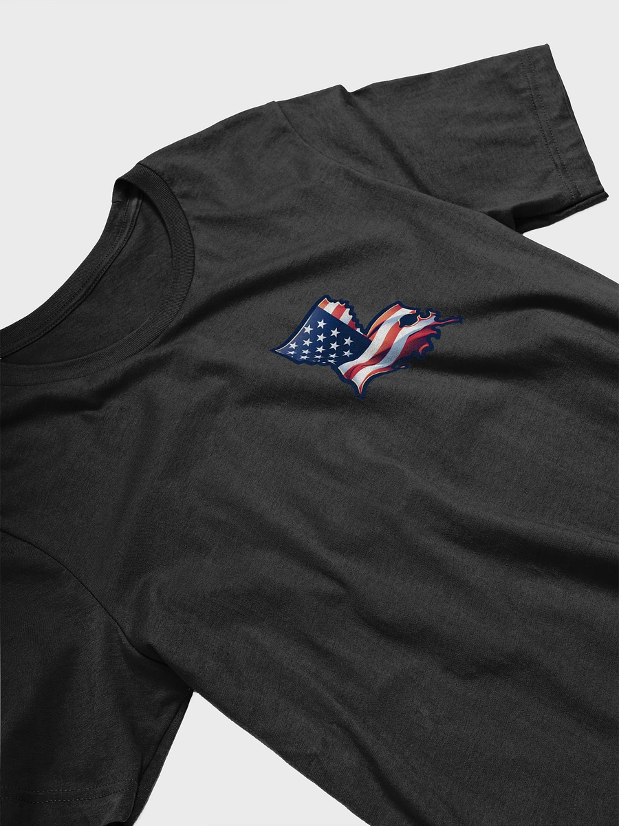 Louisiana Flag Silhouette Tee product image (13)