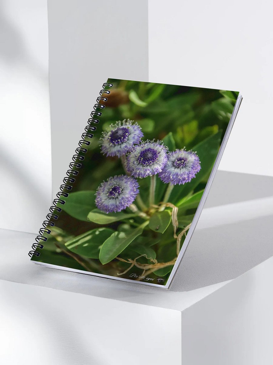 📘 Notebook Collection PURE – Jardin du Rayol – Globulaire maritime product image (3)