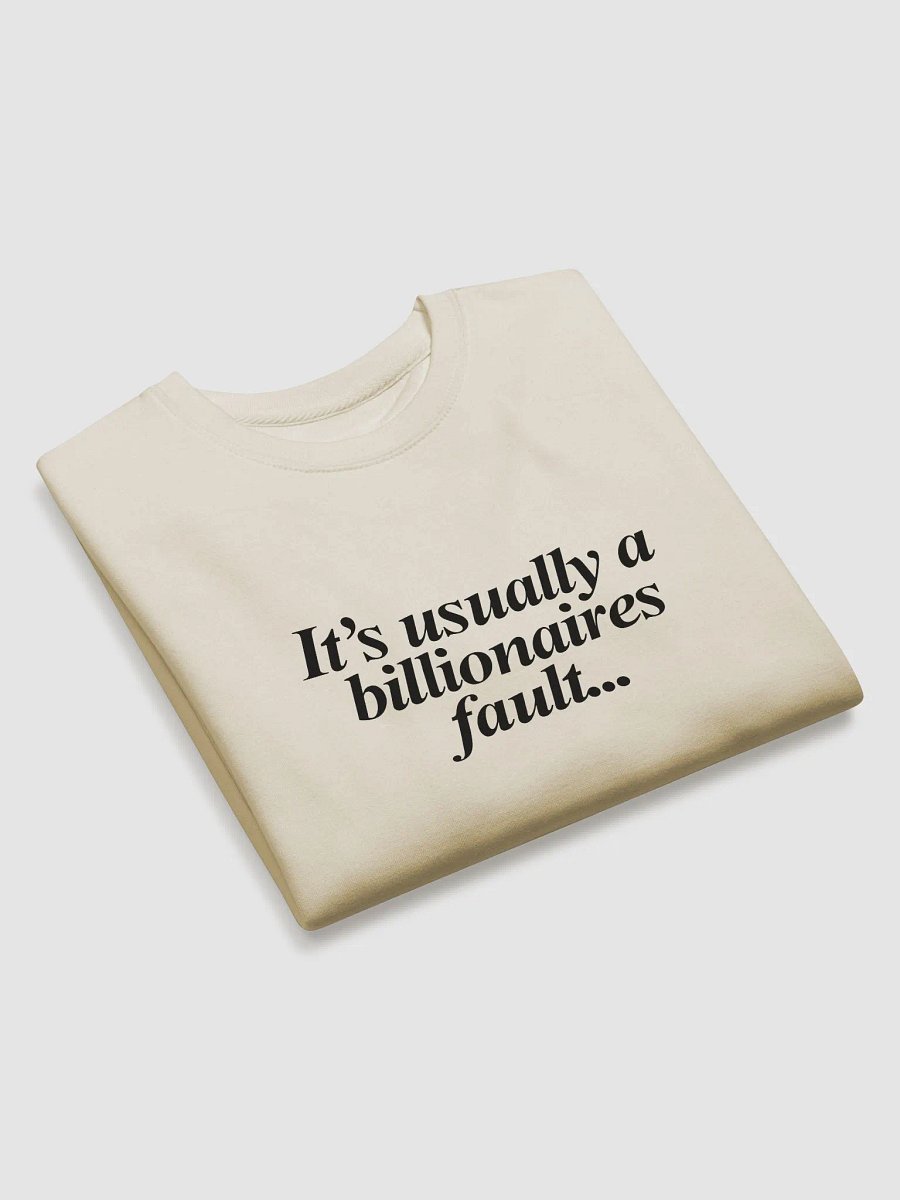 Billionaire's Fault product image (3)