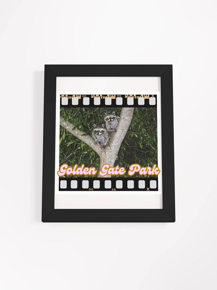 Golden Gate Park Raccoons Framed Poster Print product image (1)