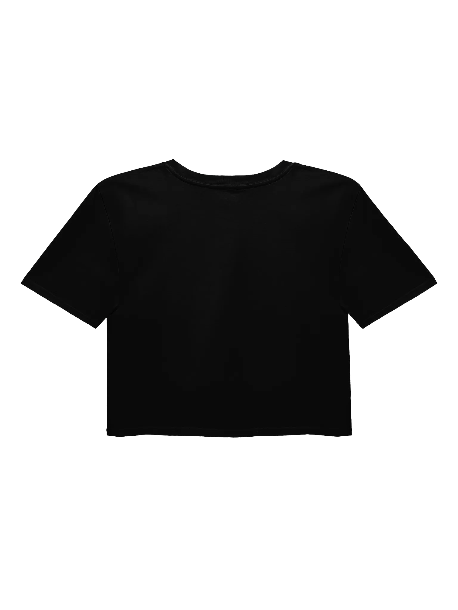Pest Era Crop Top product image (4)