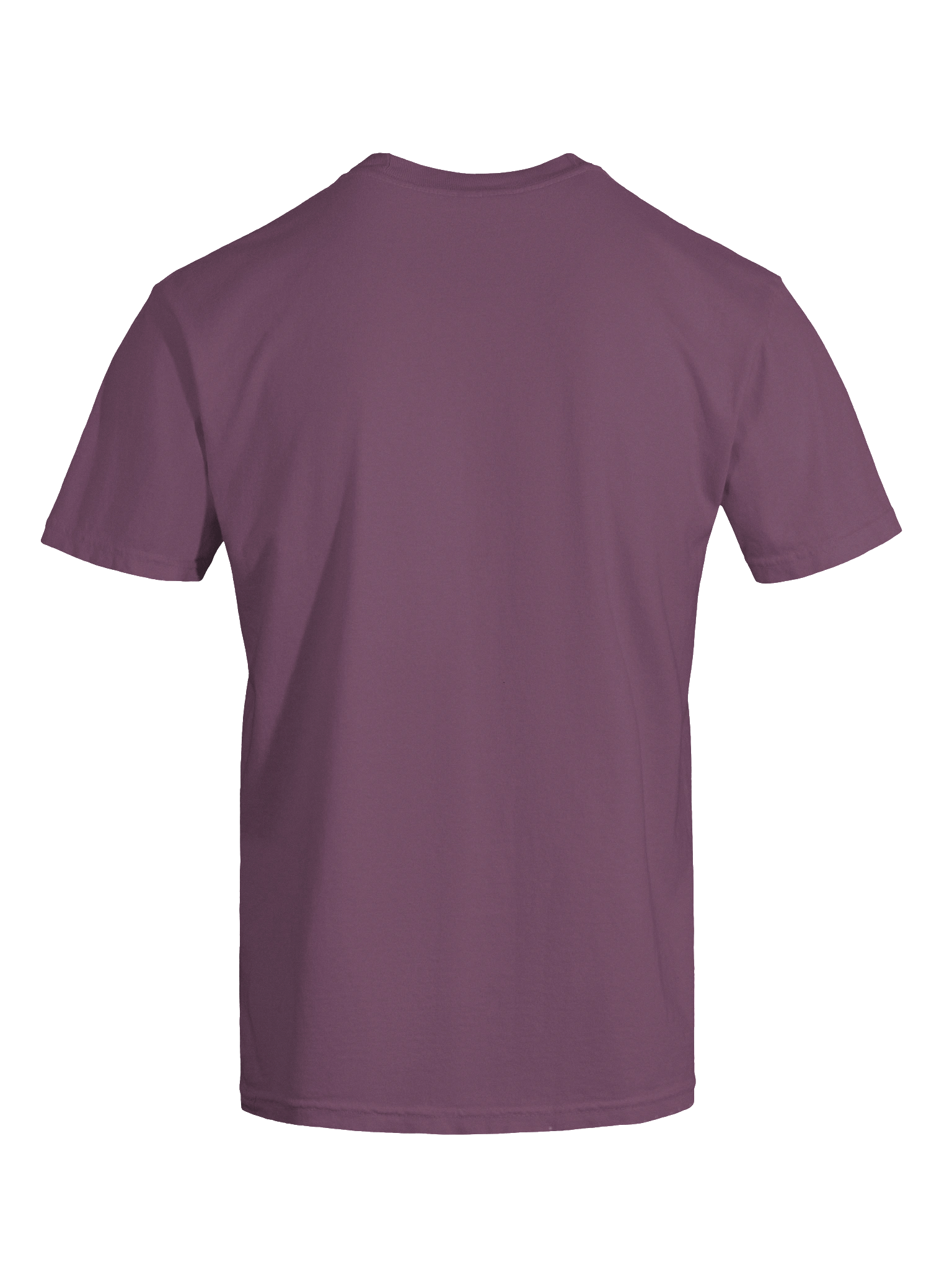 Tough Times Don't Last Embroidered Tee product image (68)