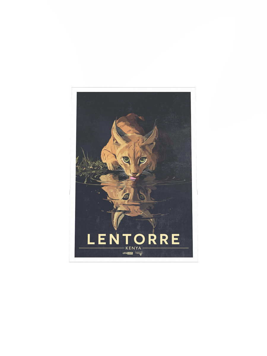 Lentorre Poster product image (11)