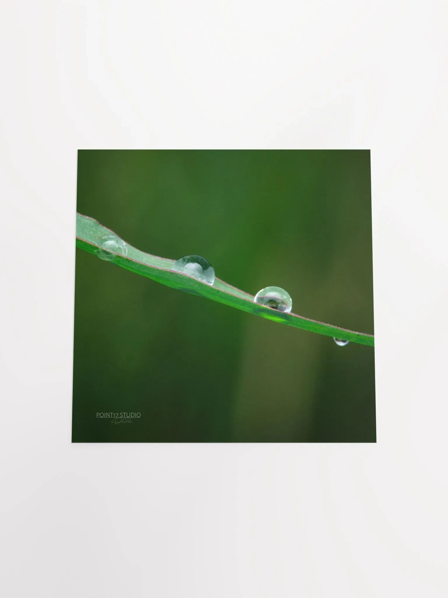Dew Gems #5 - Print product image (12)