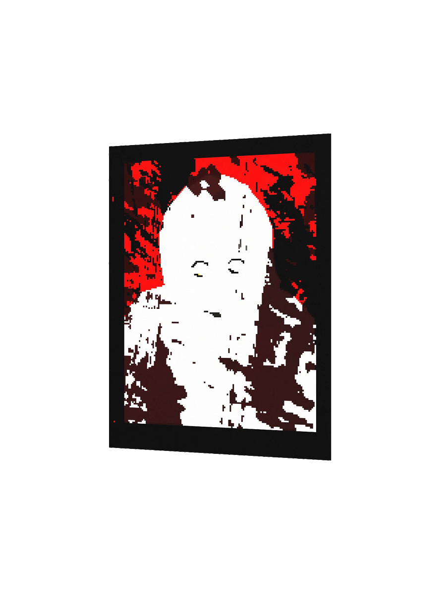 Corrupted product image (2)