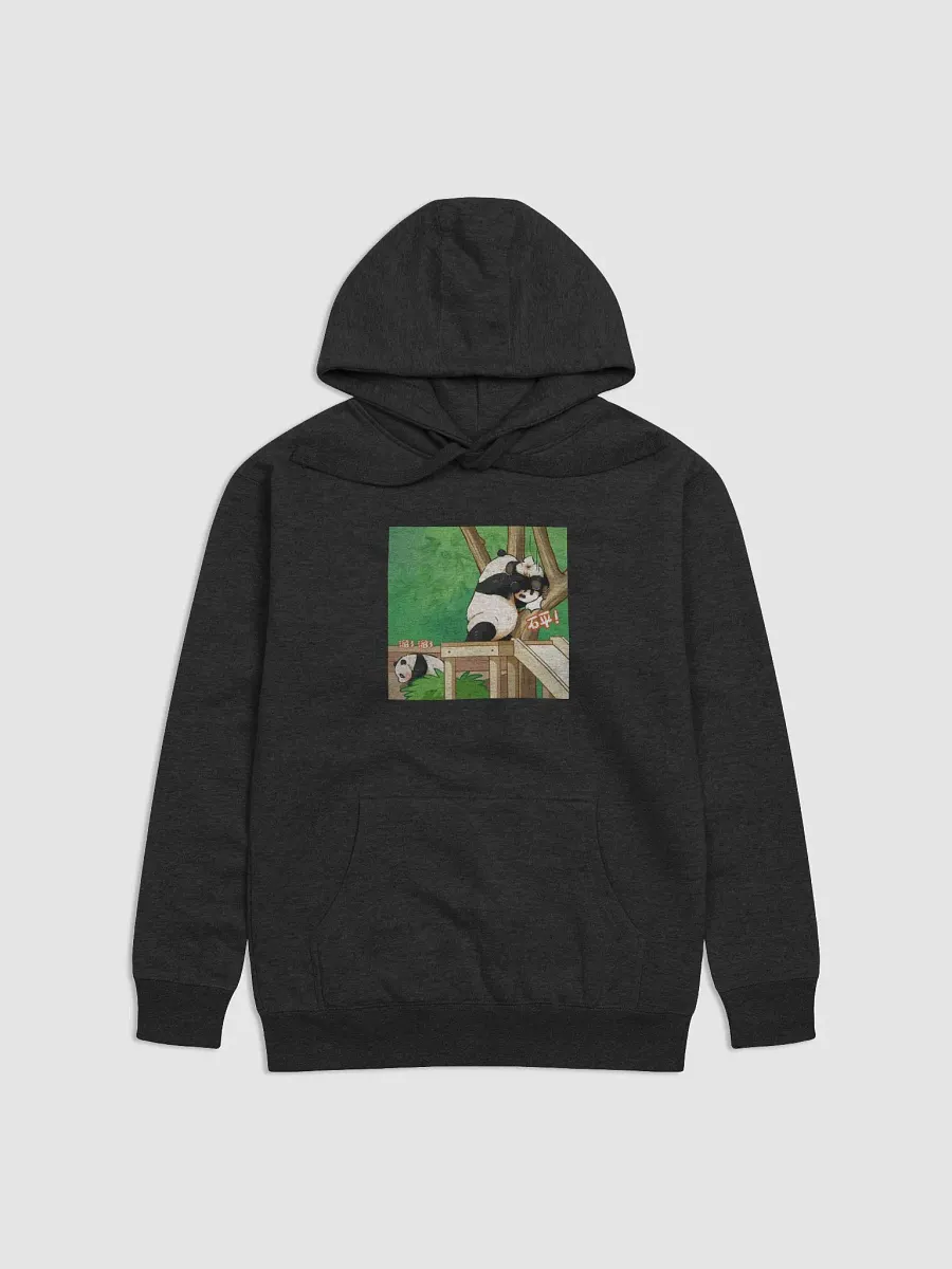 huibao and ruibao Panda product image (1)