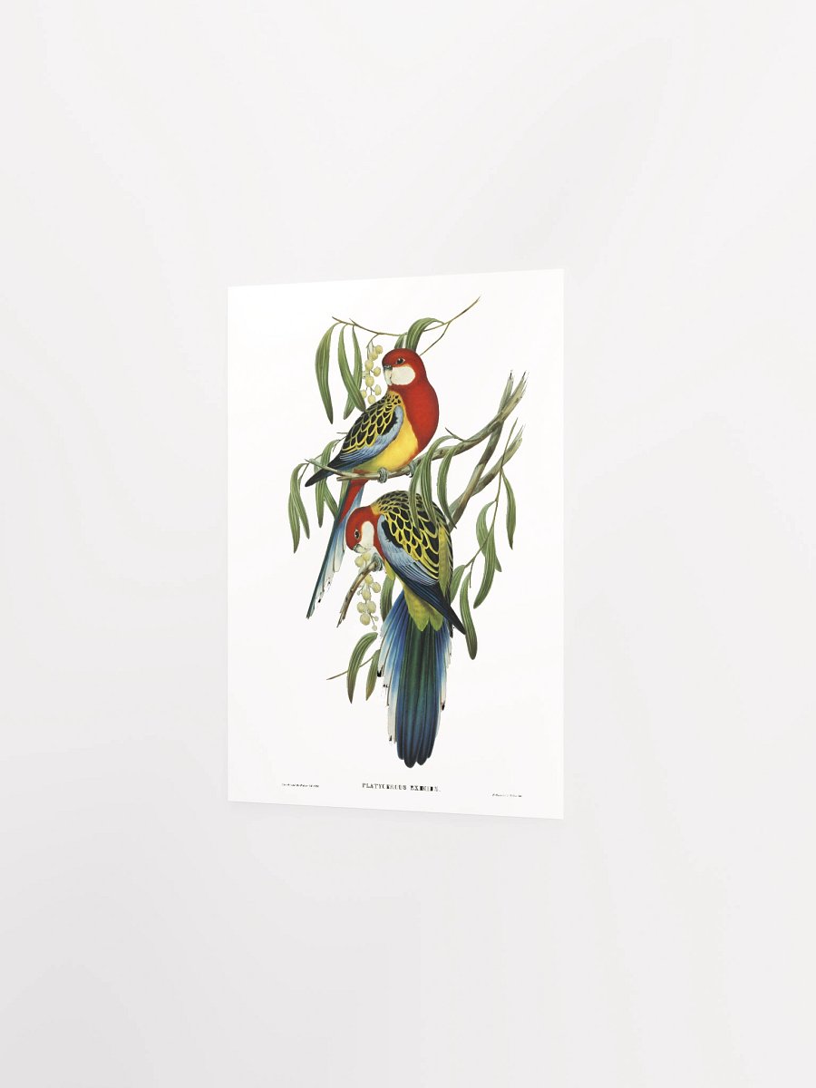 Vibrant Avian Oasis Poster product image (12)