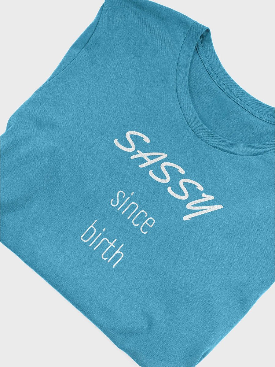 SASSY product image (3)