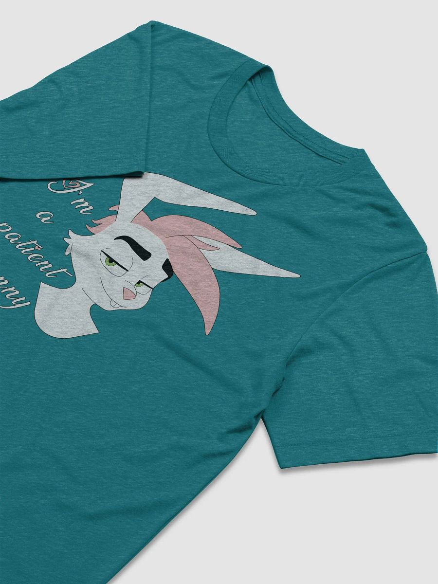 Oliver | Triblend T-shirt | Quote #1 product image (3)