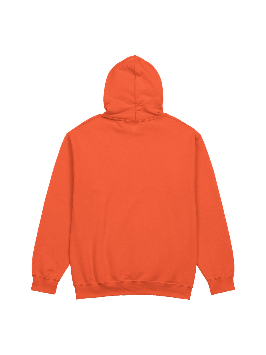 DnD Gang - Gildan Classic Hoodie product image (34)
