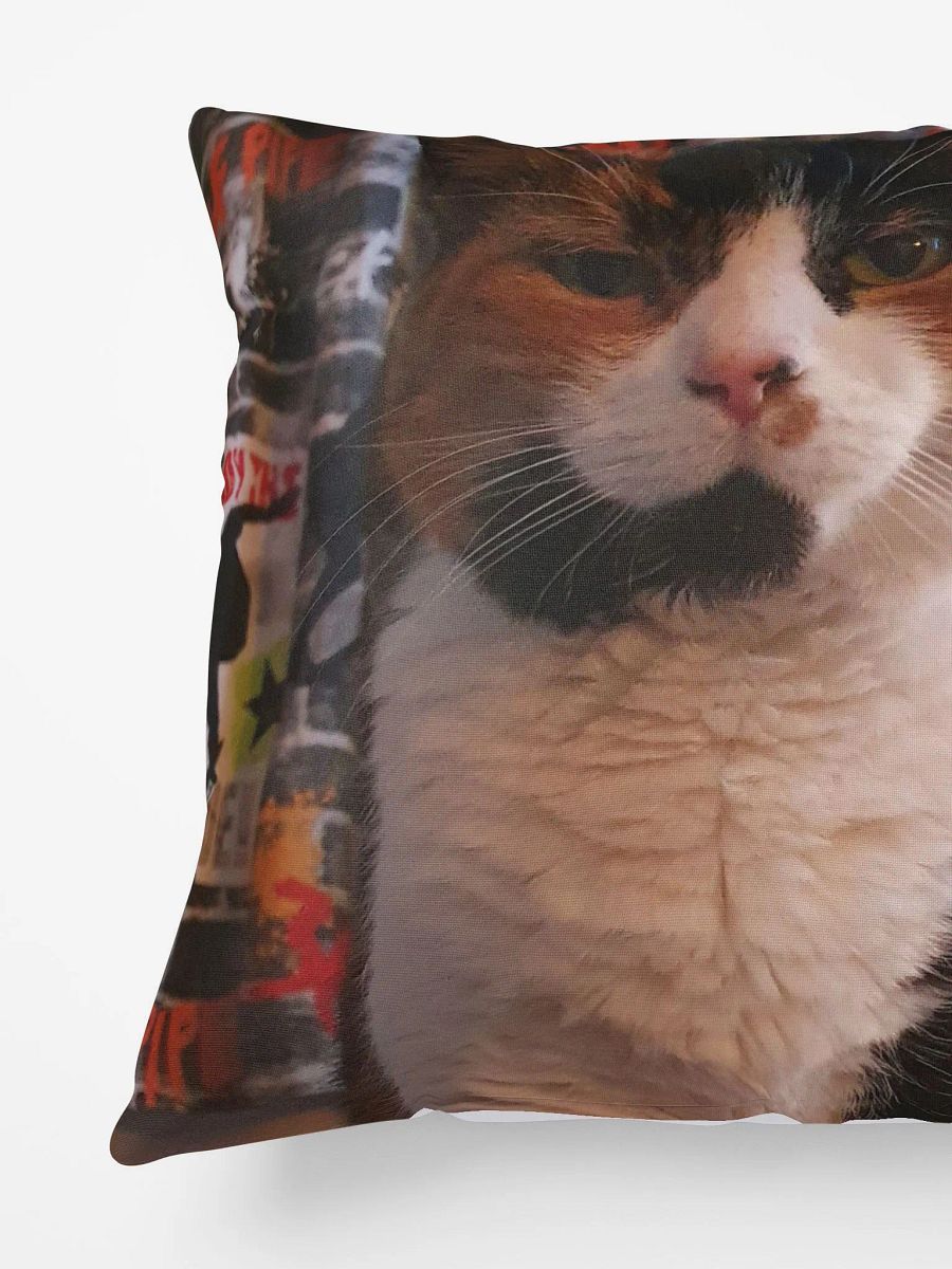 Rosie Staring Contest Pillow product image (2)