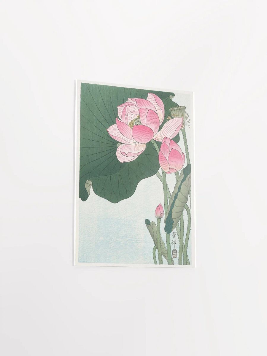 Blooming Lotus Flowers by Ohara Koson product image (3)