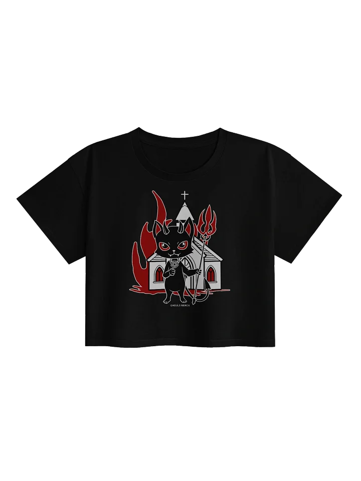 Vex the Infernal Sidekick Crop Top product image (1)