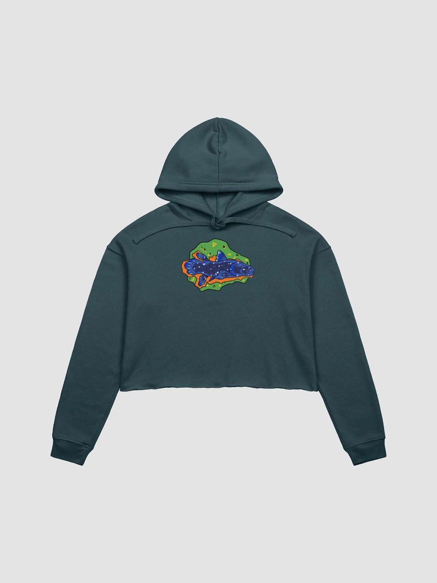 Vaporcoelacanth fleece crop hoodie product image (2)