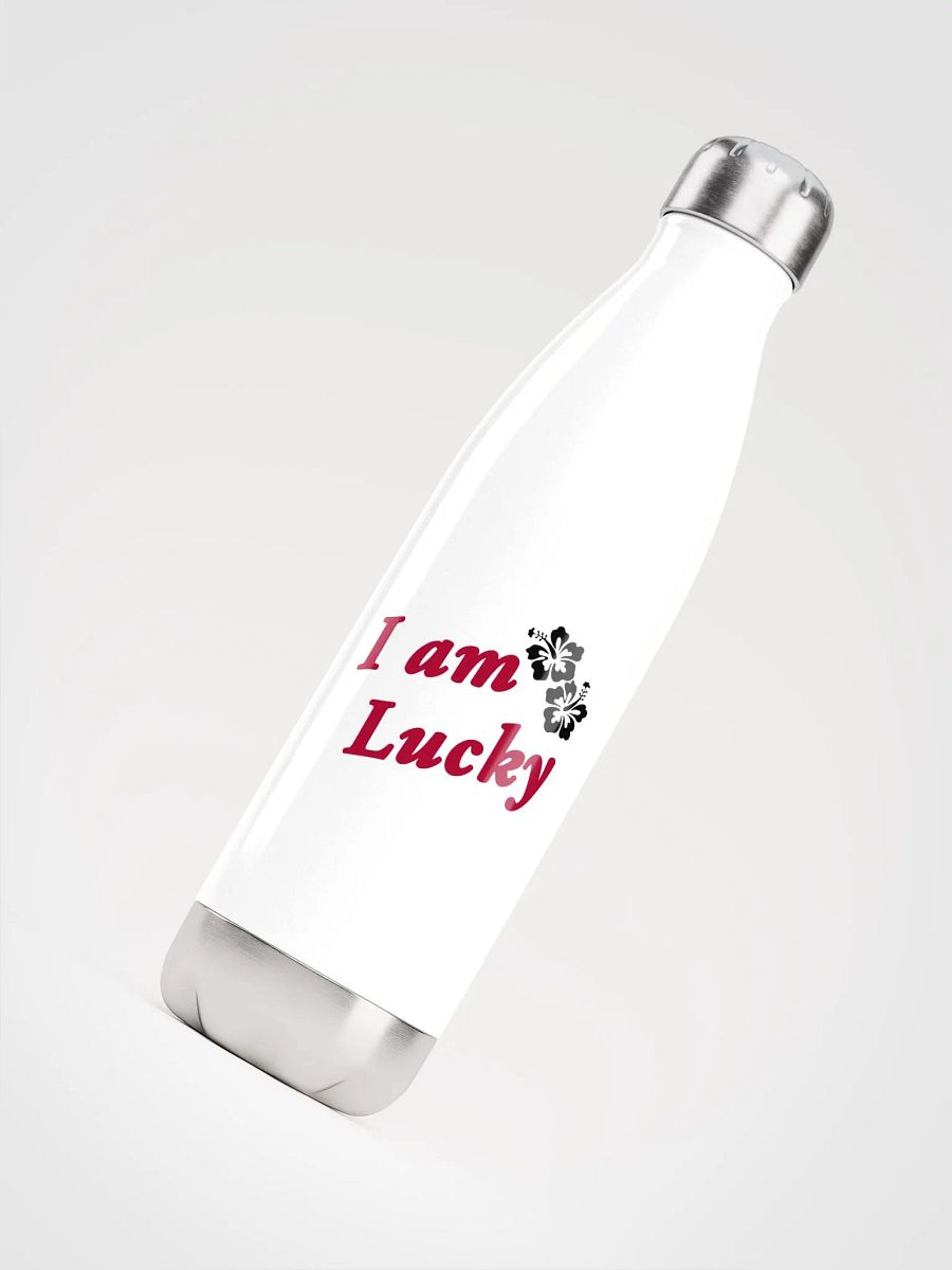 Lucky manifestation Stainless Steel Water Bottle product image (5)