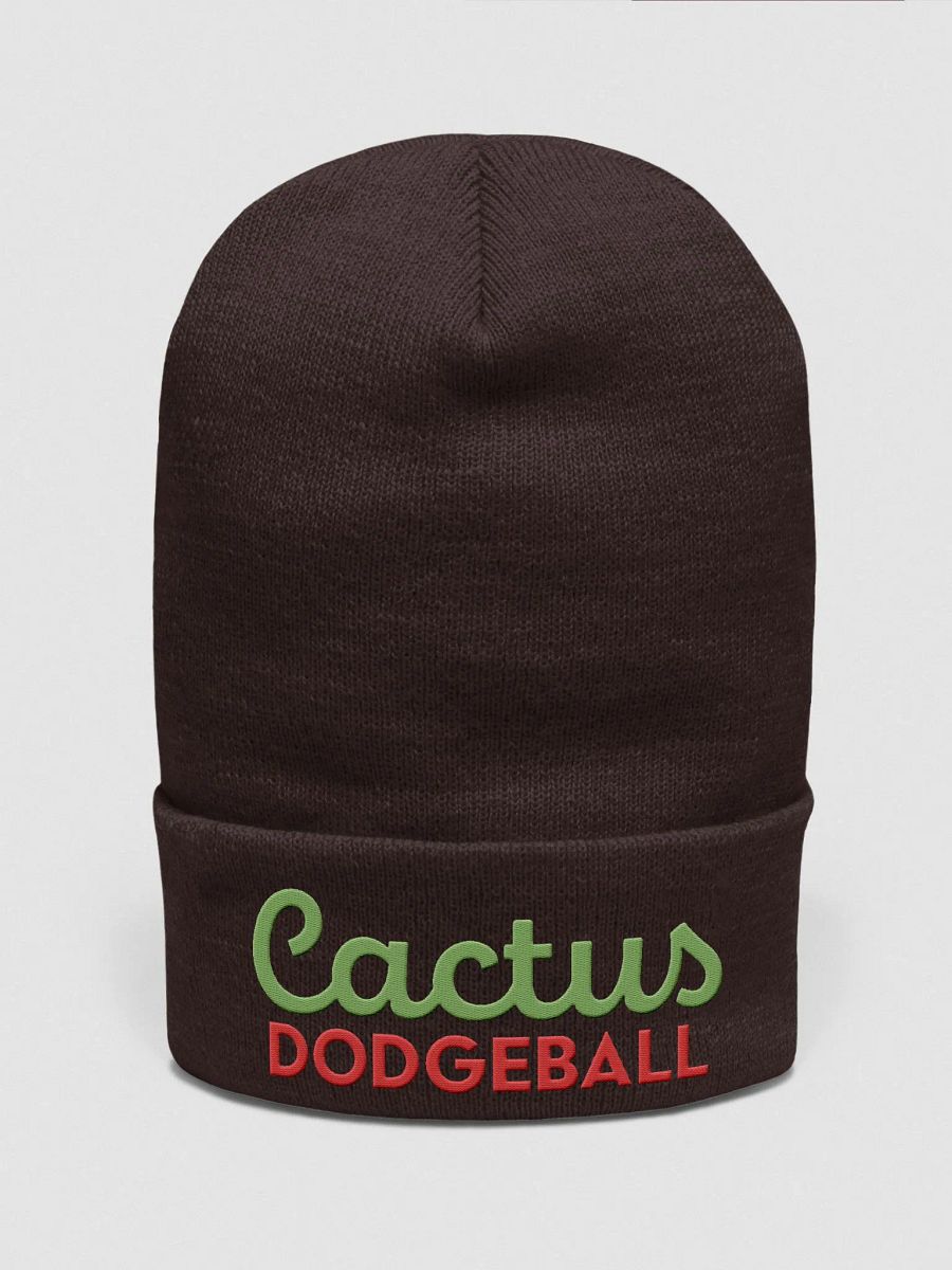 Cactus Dodgeball 