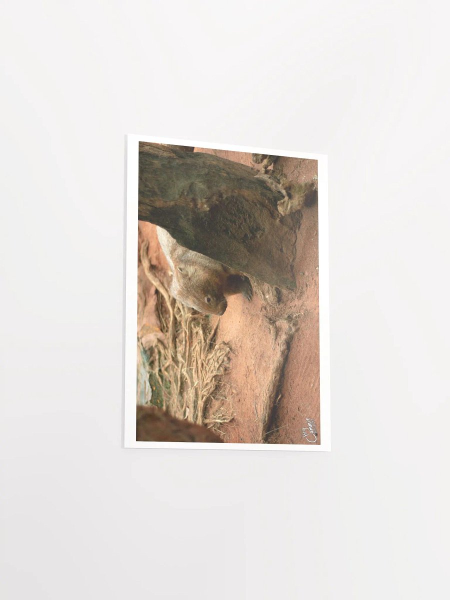 The Wombat - Print product image (3)