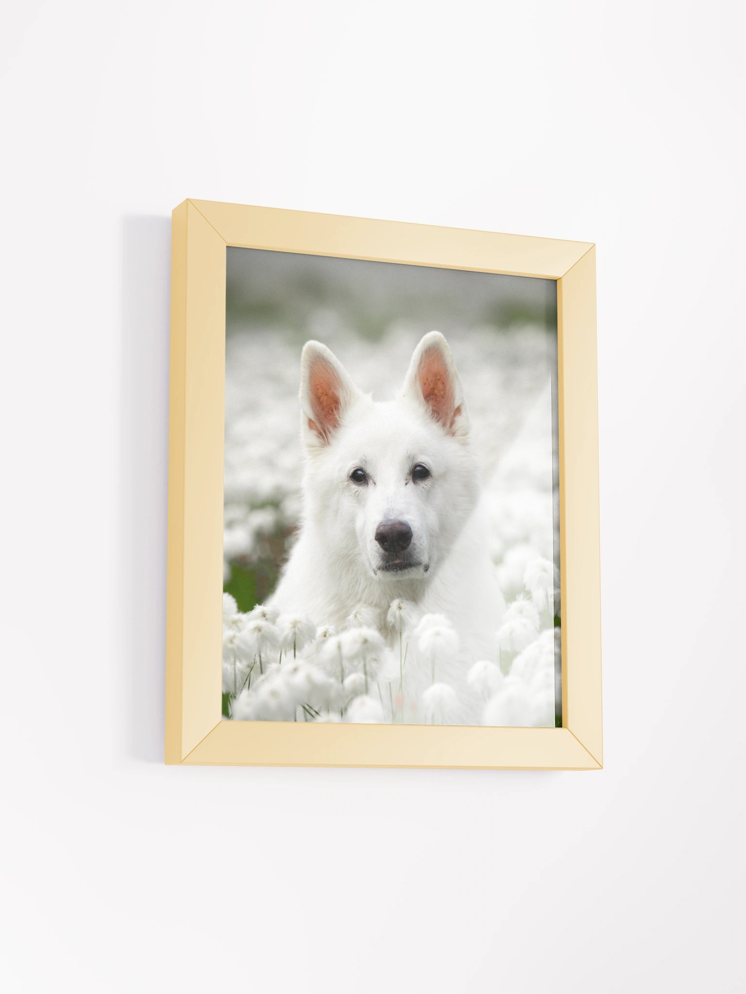 Rasta in the Wool grass product image (28)